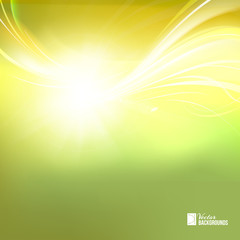 Colorful smooth light lines on green background. Vector Illustration.