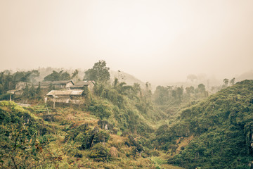 a village of farmers in the jungle of vietnam