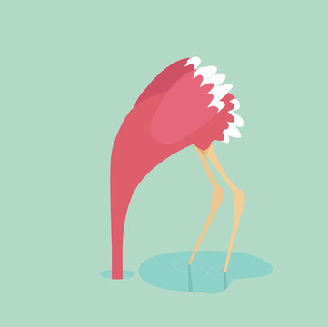 cute flamingo Illustration