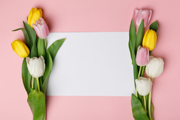 Colorful tulips with blank paper isolated on pink