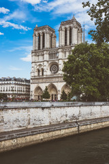 Fototapeta na wymiar Cathedral of Notre Dame in Paris