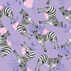Zebra pattern, illustration, animal.
