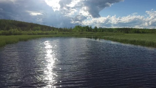 Lake surrounded by vegetation