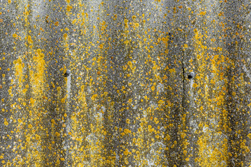 Old and very dangerous asbestos roof. Asbestos dust in the environment.