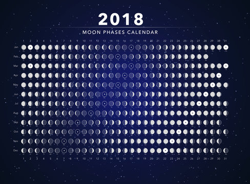 moon phases calendar vector
