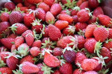 fraises-fruits rouges-