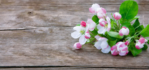 Fototapeta na wymiar Spring wood background with Apple Flowers