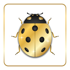 Ladybug gold insect small icon. Golden metal lady bug animal sign, isolated on white background. 3d volume bright design. Cute shiny jewelry ladybird. Lady bird closeup beetle. Vector illustration