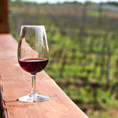 A glass of red wine  against a background of vineyards.