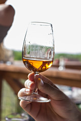 Wine is poured into the glass. Wine tasting.