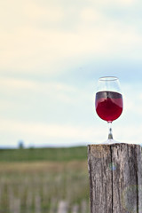 A glass of red wine  against a background of vineyards.