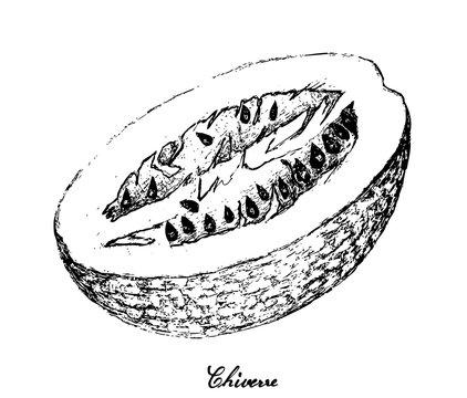 Hand Drawn of Chiverre on White Background