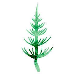 isolated watercolor silhouette plant