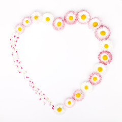 heart shape frame made of garden daisy flowers isolated on white background with copy space for your text. flat lay, top view. beauty, wedding, Mothers day or Womens day composition