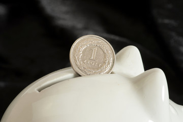 Ein Sparschwein und eine Münze Polnische Zloty PLN