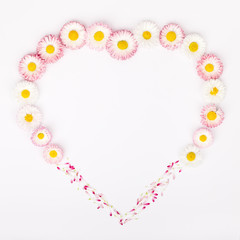 heart shape frame made of garden daisy flowers isolated on white background with copy space for your text. flat lay, top view. beauty, wedding, Mothers day or Womens day composition