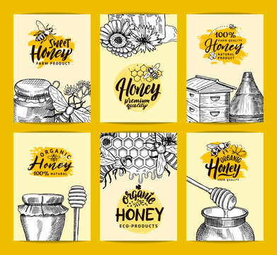 Vector card templates set for honey shop or farm with sketched contoured honey theme elements and hand drawn logos
