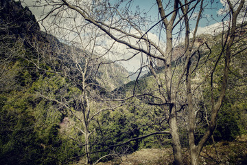 Dramatic view of Qadisha Valley north lebanon, Landscape with tree and mountain