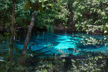 Sra Morakot Blue Pool at Krabi Province, Thailand
