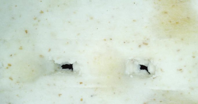 Pesach matzo. Matzoh jewish passover bread. 4K. Extreme macro. Isolated.
