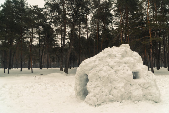 Winter. Homemade house with snow