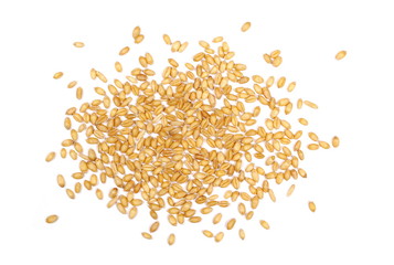 Wheat grains isolated on white background and texture, top view