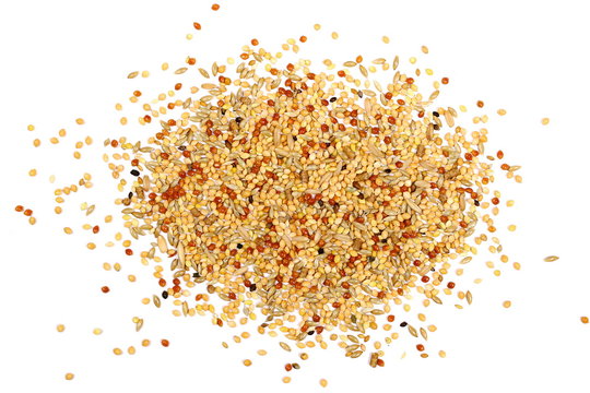 Bird seed pile, millet isolated on white background, top view