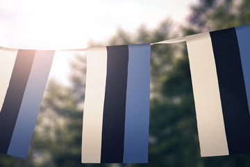 Estonia flag pennants - obrazy, fototapety, plakaty