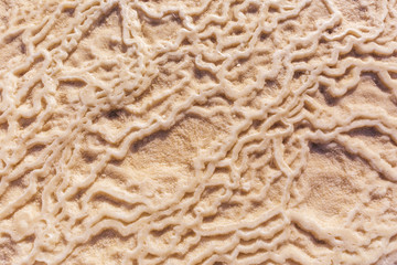 Dead Sea salt texture. Nature background