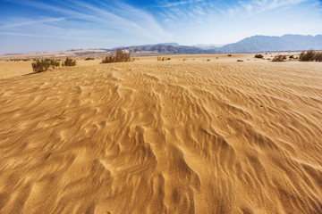 Jordan landscape. Sand Dune. Wadi Araba desert.