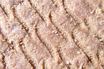 Texture of pasta close-up macro