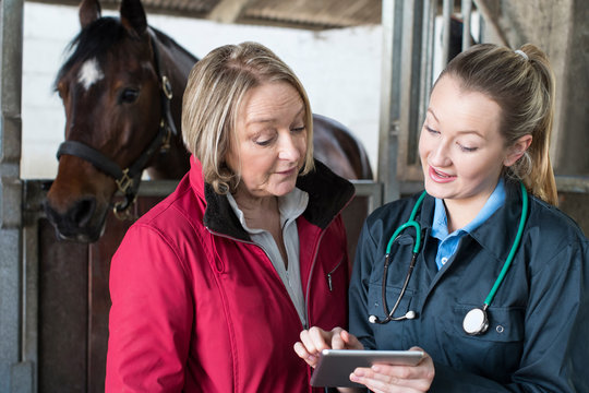 Fototapeta Female Vet Examining Horse In Stables Showing Owner Digital Tablet