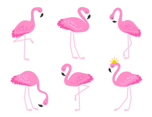 Flamingo or tropical birds illustration for party card. Summer exotic background. Vintage cute holiday set.