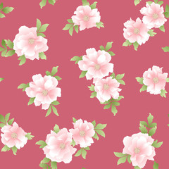 日本的な牡丹柄