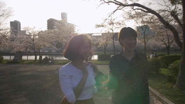 Beautiful multi-ethnic women walking through cherry blossom park.