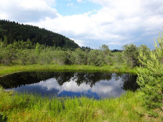 Little lake in a natural reserve with the cloudy sky reflected in the water