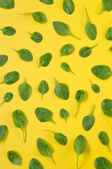 Spinach leaves pattern on yellow background.