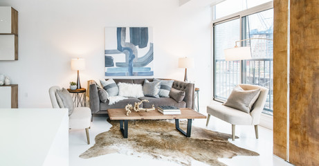 Furnished living room