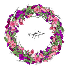 Round frame made of digitalis flowers. Circle made of floral elements.
