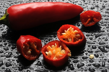 Capsicum トウガラシ属 고추속 فليفلة Papryka 辣椒属 Peperoncino Chili...