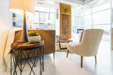 Furnished living room