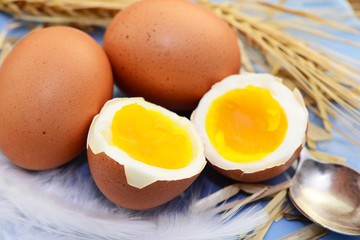 Eier
