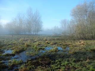 Obraz premium Niersaue im Frühling am morgen