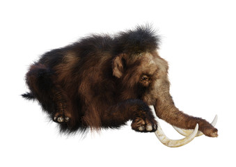 Fototapeta premium 3D Rendering Woolly Mammoth on White