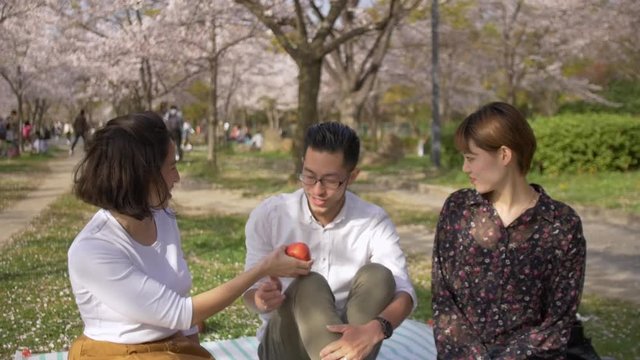 Cute friends sharing food under cherry blossom trees.