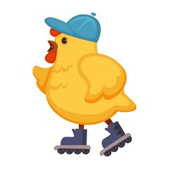 Plump chicken in blue cap on walk in roller-skates