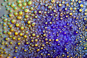 Colorful bubbles of fluid on glass surface