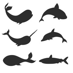 Set of vector underwater life silhouettes with whales, shark, narwhal and dolphin. Sea creatures shapes isolated on the white background. © Anastasia