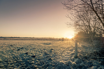 Rural sunrise in the winter with a frozen meadow