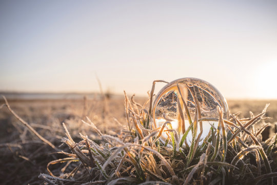 Crystal ball in frozen grass in the sunrise